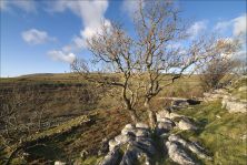 buckden rake.jpg